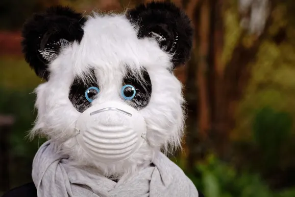 Thunderbolt Kazino Pagalba